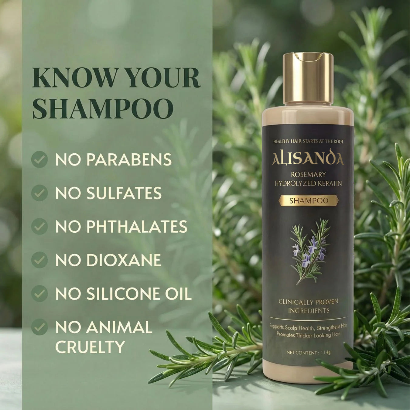 🔥LAST DAY 70% OFF🔥Alisanda® Rosemary Shampoo – Now Upgraded for Superior Hair Growth!